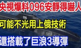央视网最新爆料视频大全,聚焦热点事件，揭秘幕后真相