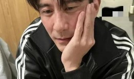 少杰娱乐圈最新爆料,揭秘明星幕后真相