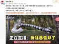 最新爆料暴雪事件,揭秘背后惊人真相