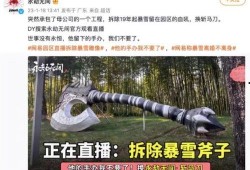 最新爆料暴雪事件,揭秘背后惊人真相