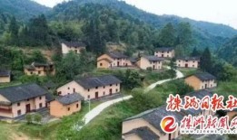 茶陵爆料最新新闻消息,最新民生焦点事件追踪