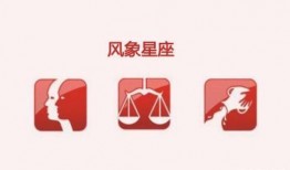 风向星座最新爆料,揭秘十二星座风向之谜