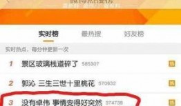 卓伟最新爆料灯谜,灯谜背后的惊人真相
